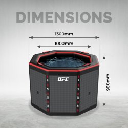 UFC OCTAGON - Isbad